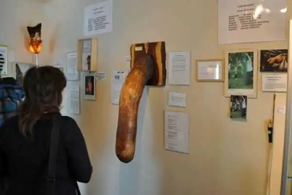 Check Out This Pen!s Museum Which Has 282 Pen!ses Of Different Shapes And Sizes (Photos)
